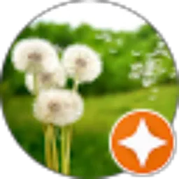 Review From Oppie Kresna