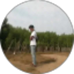 Review From Ali Ahikam