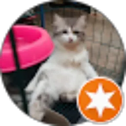 Review From yulista rosalina12