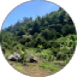 Review From Nabil Akmaludin