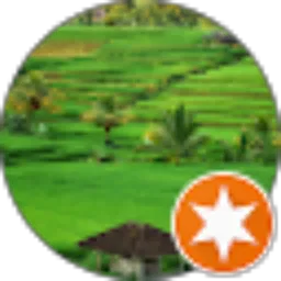 Review From Yusuf Suprianto