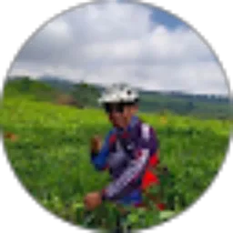 Review From Sugito Sriatmojo