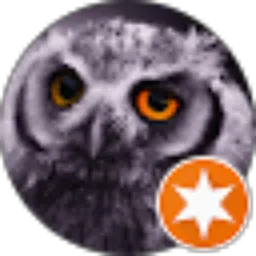 Review From Gelang Surya