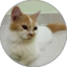 Review From Ahmad Saubana