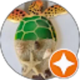 Review From Yudi Farida