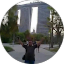 Review From Anton Wisnu