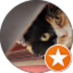 Review From Vera Widiastuti