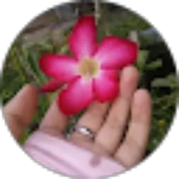 Review From Eka Erlina