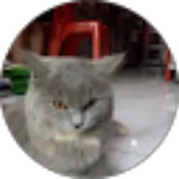 Review From fuad fanani