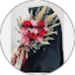 Review From Sana Harira