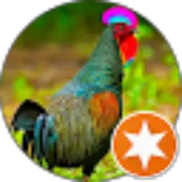 Review From Arie Wirawan