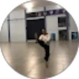 Review From Luhur Prasetyono