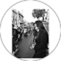 Review From Vega Giani S