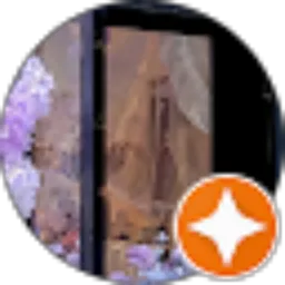 Review From Anjani Dr