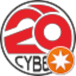 Review From 29 Cyber