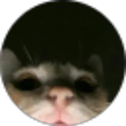 Review From Arli Is here