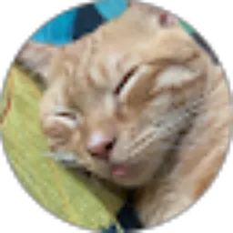 Review From Fauzia Fauzia