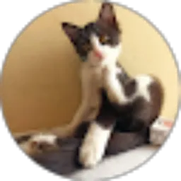 Review From Maria Fransesca