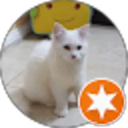 Review From dara afrilna