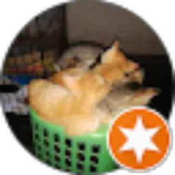 Review From ranto & tini