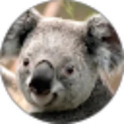 Review From agus supriyadi