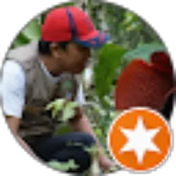 Review From Dedi Idwin