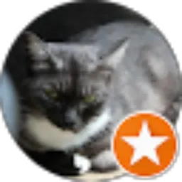 Review From Uga Ilmi Pangesti