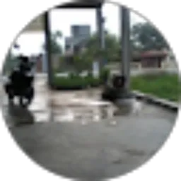 Review From harry walensa