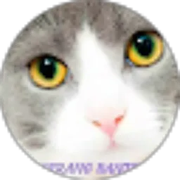 Review From selebritis 123