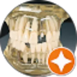 Review From Dokter Gigi