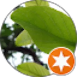 Review From Abu Uwais Al-Marowi