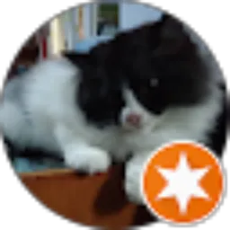 Review From penggemar kucing