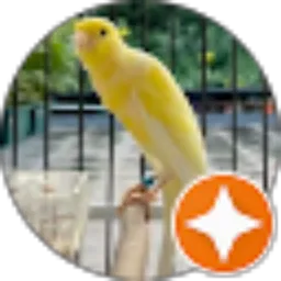 Review From warox pgt