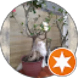 Review From Wirawan Dharma