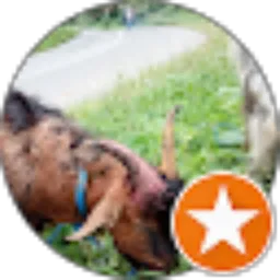 Review From rizqi syafruddin