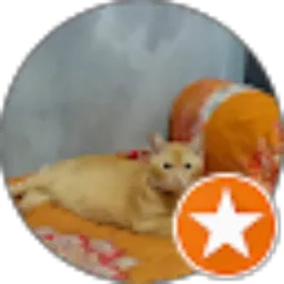 Review From Iqbal Ramaa