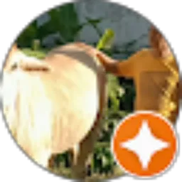 Review From Kede_ Sapi