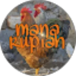 Review From muhammad