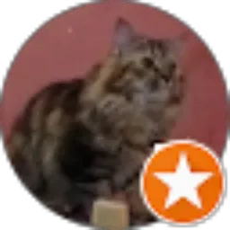 Review From ayh prz 26