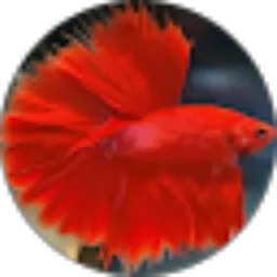 Review From Trevor Powell