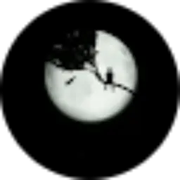 Review From Muhammad Rizani