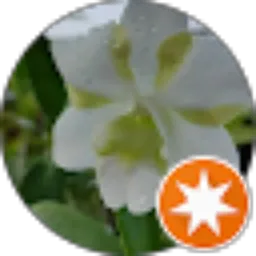 Review From Kusrini Yuliani