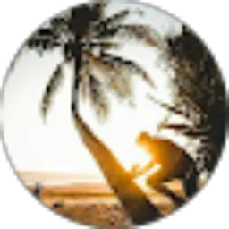 Review From I Putu Ari Paramartha