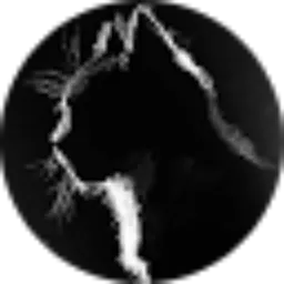 Review From Endra Gun Official