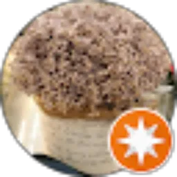 Review From Rima Noerma