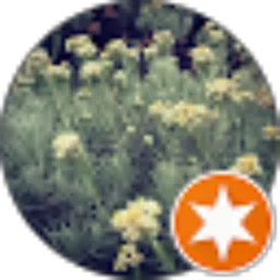 Review From Stan Lee