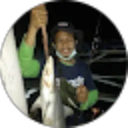 Review From ardi pradana