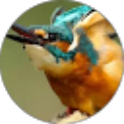 Review From Moheks91 Alexs P R O