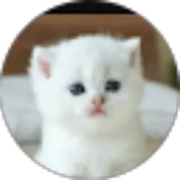 Review From sri suyanti