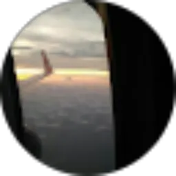 Review From Aldy Radiany